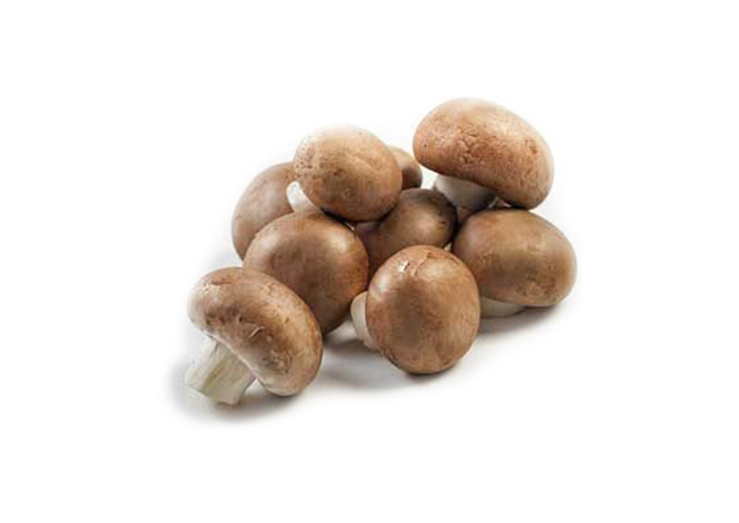 chesnut-mushroom
